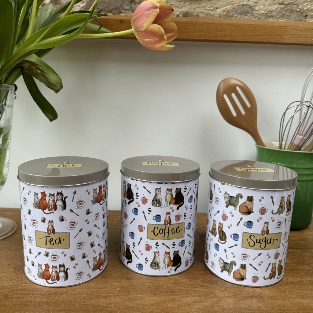 Set van 3 blikken 'Kat'