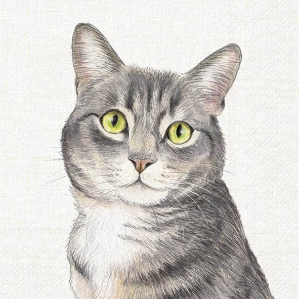 Lunchservet 'Farm Cat'