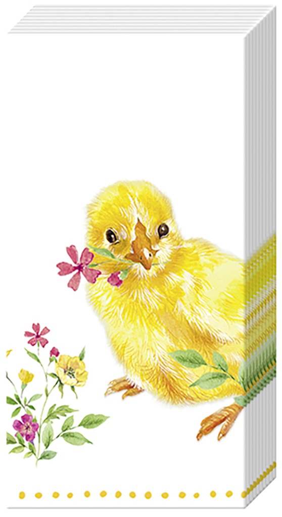 Papieren zakdoek 'Chicks'