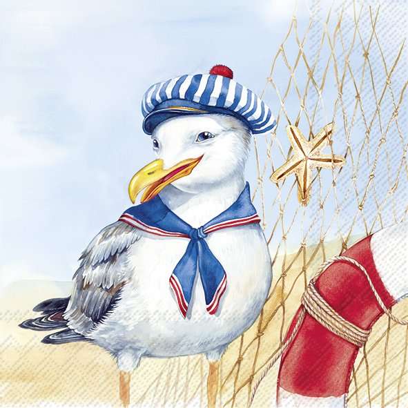 Lunchservet Captain Finn