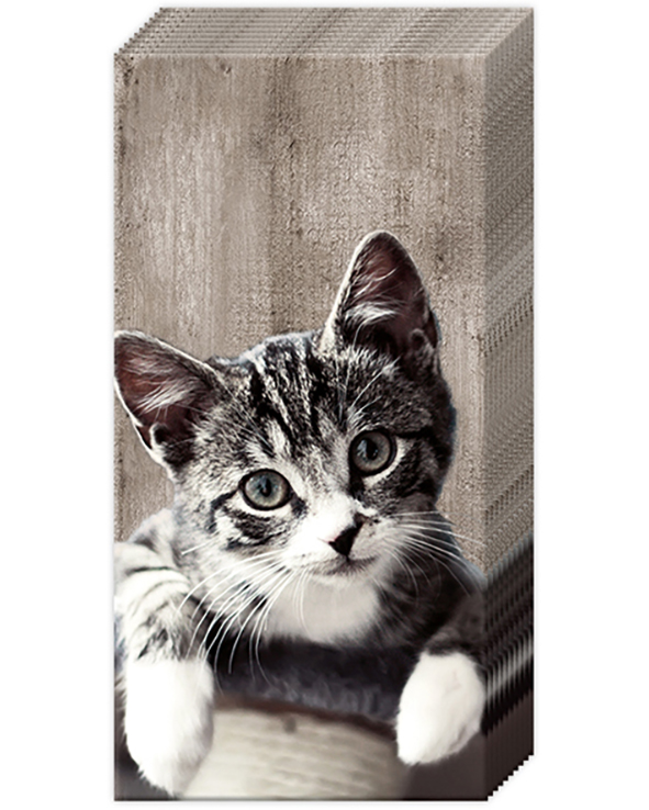 Papieren zakdoek 'Kasimir'