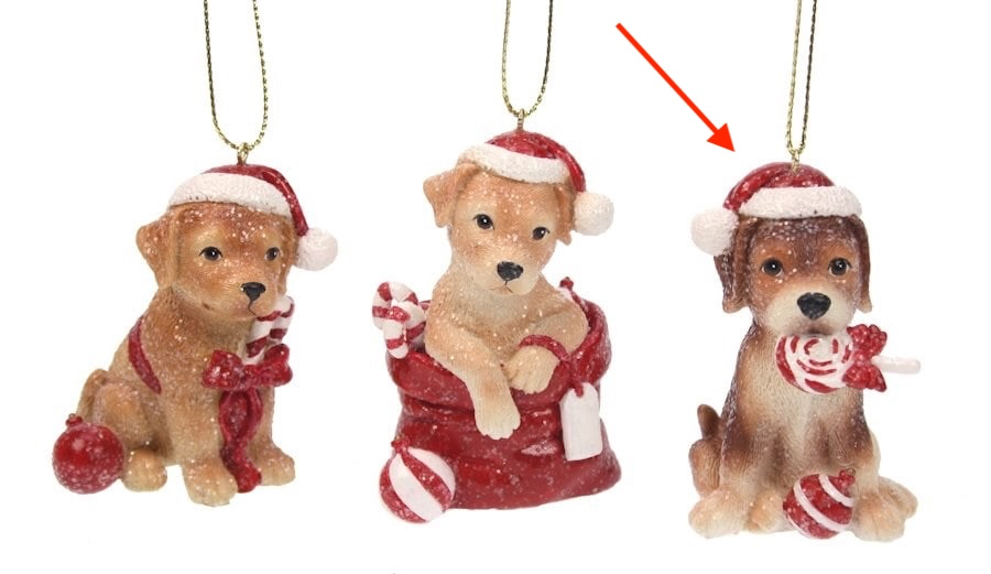 Ornament Hond met lolly