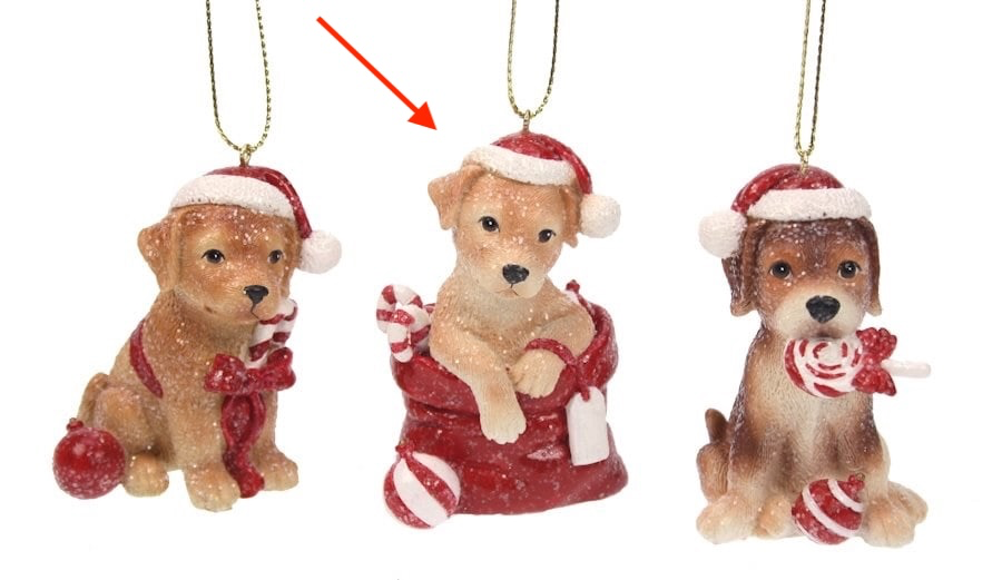 Ornament Hond in kerstzak