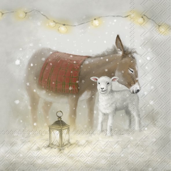 Lunchservet Nino an Molly