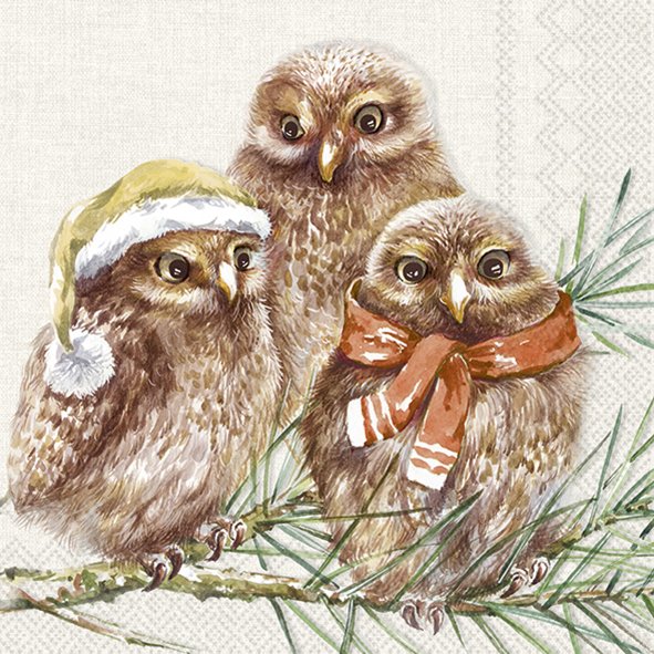 Lunchservet Winter Owls