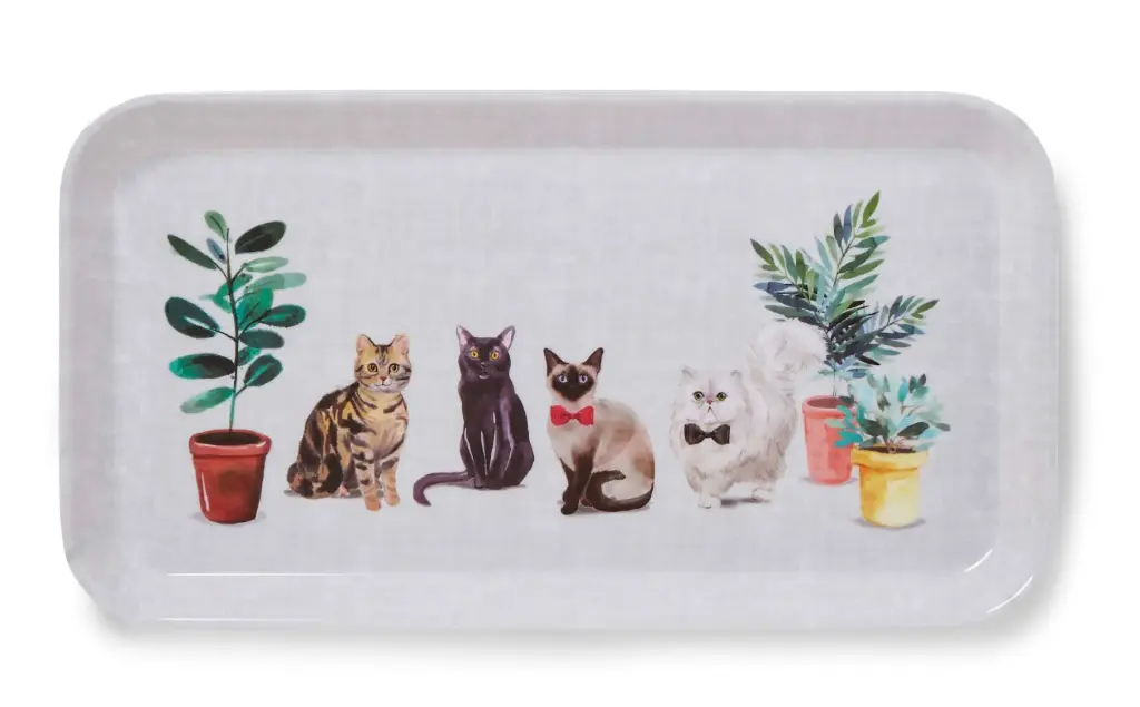 Dienblad 'Curious Cats'