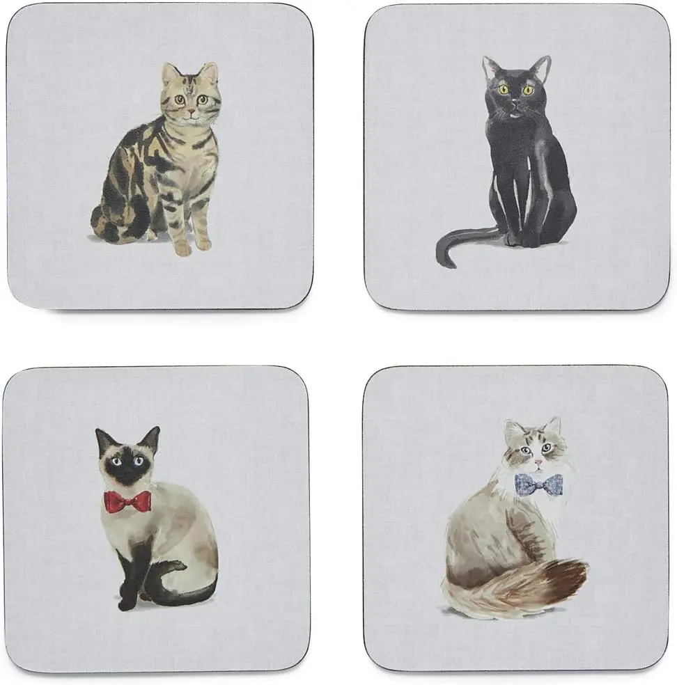Onderzetters Curious Cats (set van 4)