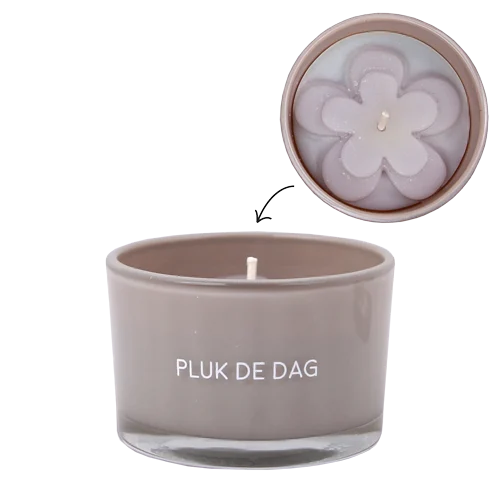 Sojakaars - Pluk de dag