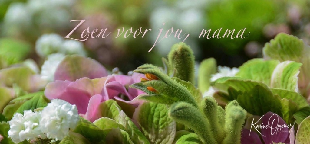 Zoen voor jou, mama