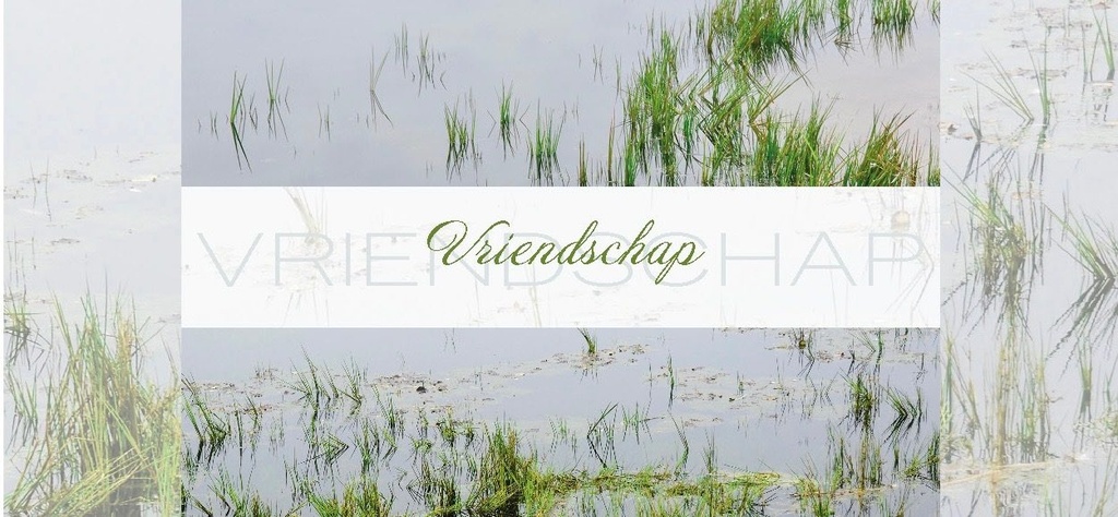 Vriendschap