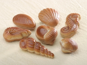 Zeevruchten melkchocolade