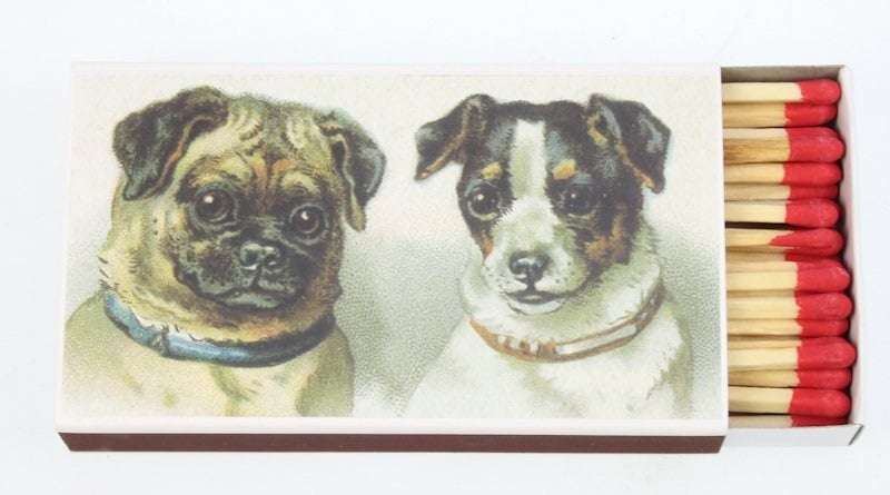 Luciferdoosje Mops en Jack Russel