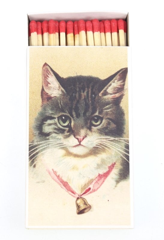 Luciferdoosje kat met bel