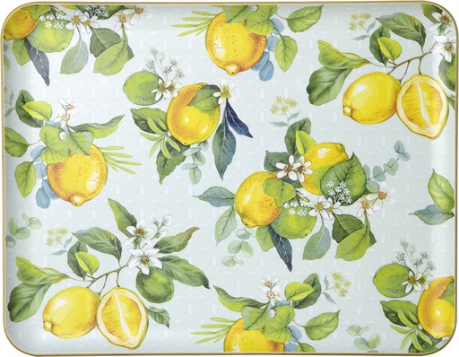 [AC587BR] Dienblad Citrus