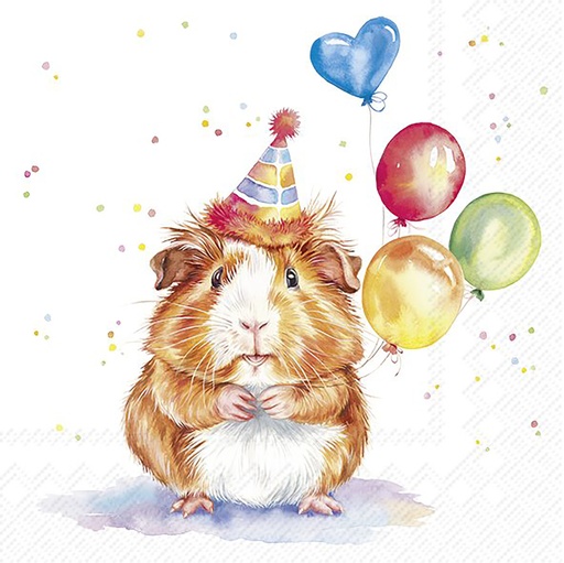 [SER110IHR] Lunchservet 'Birthday Kalli'