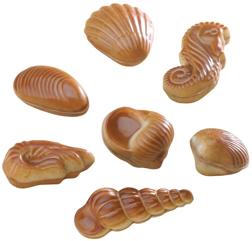 [C0O36BI] Suikervrije Zeevruchten