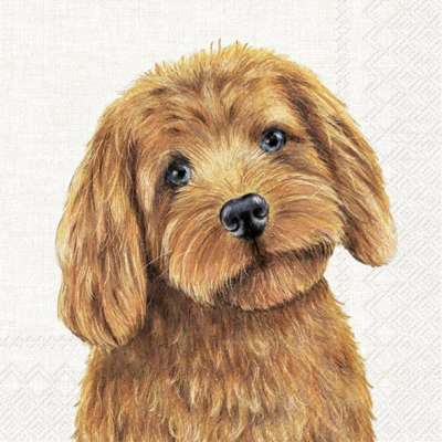 [SER079IHR] Lunchservet Farm Dog