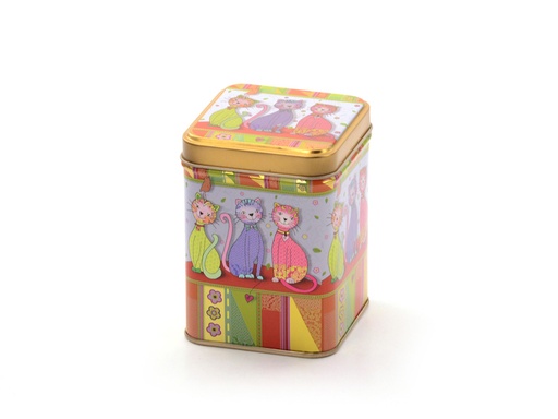 [AC484DB] Blik 'Evi'