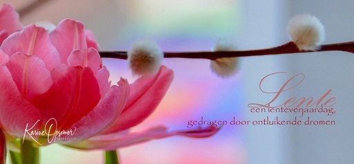 [WK30KO] Lente, een lente verjaardag