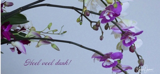 [WK32KO] Heel veel dank