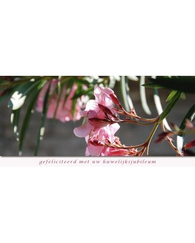 [WK13OK] Gefeliciteerd met uw huwelijksjubileum