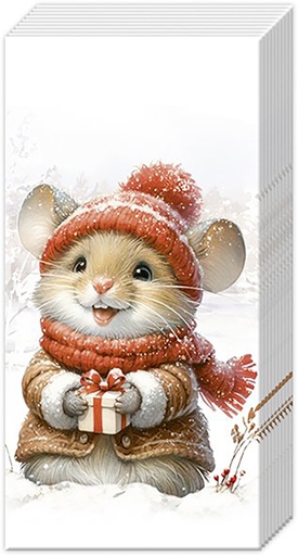 [ZAK006IHR] Papieren zakdoek 'Elli and Becky'