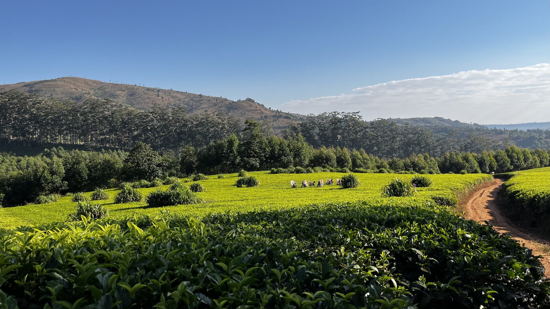 Malawi